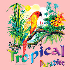 Colorful Parrot