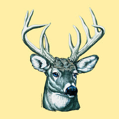 Deer Portrait